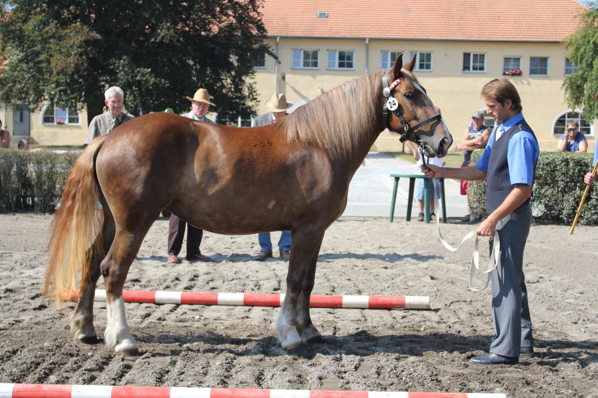 68/386 Renata 