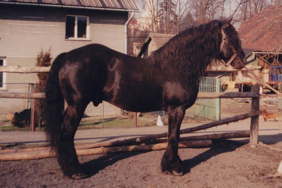 2298 Fušer