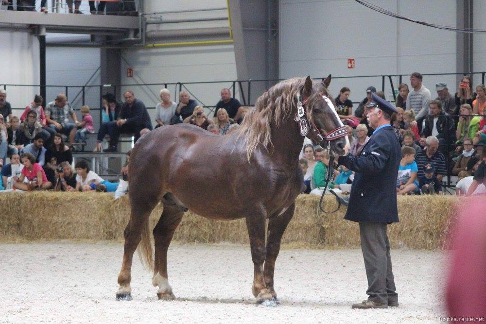 Nadar