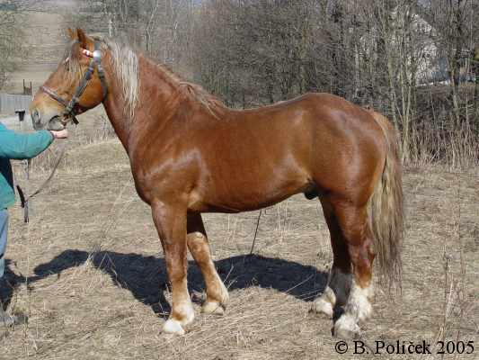 2792 Rigoš